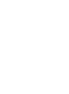 SynTag PRO